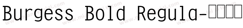 Burgess Bold Regula字体转换